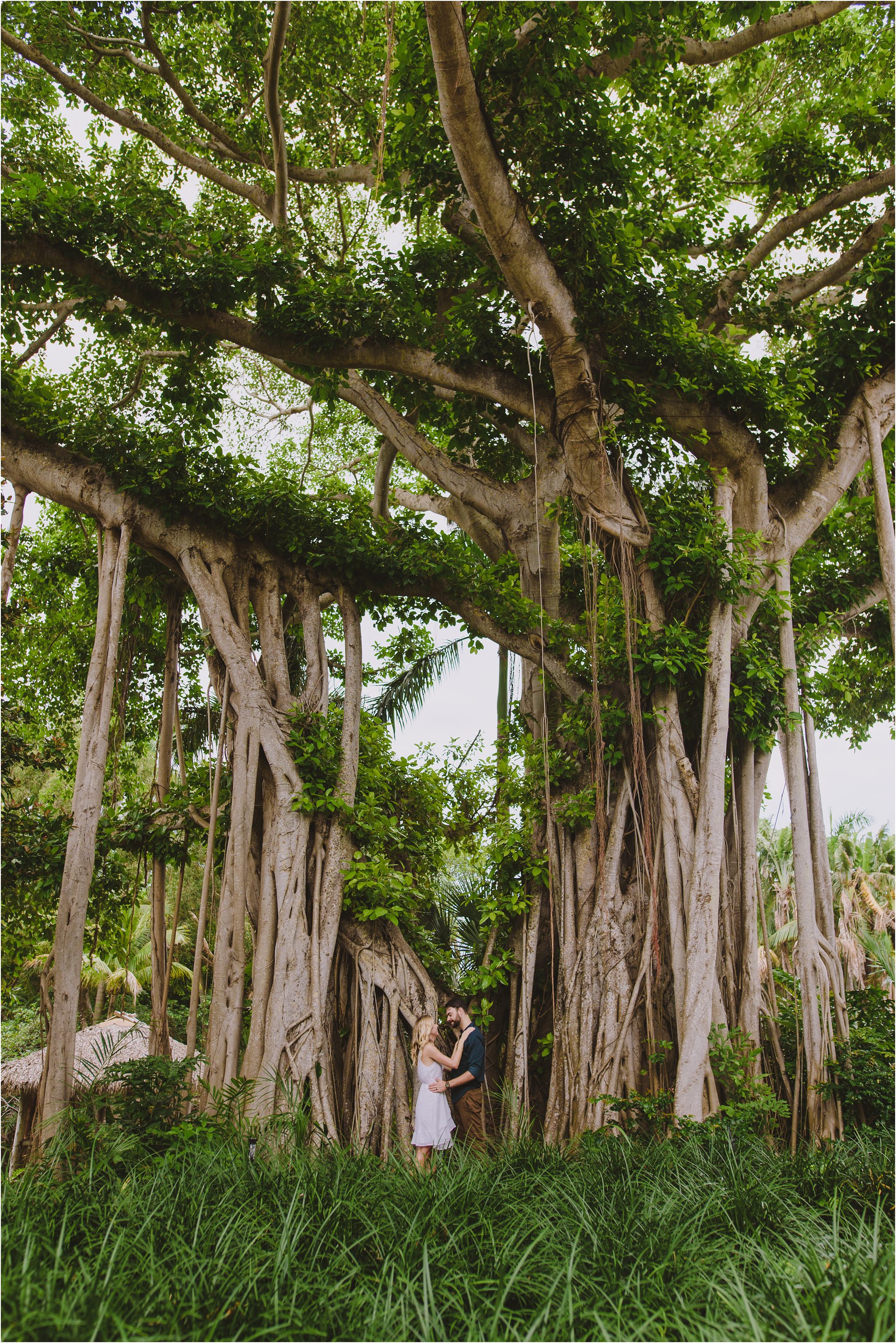couple in front of giant banyan tree