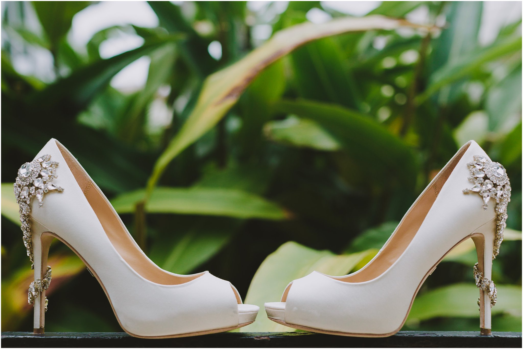 ivory badgley mischka heels placed in front of green foliage