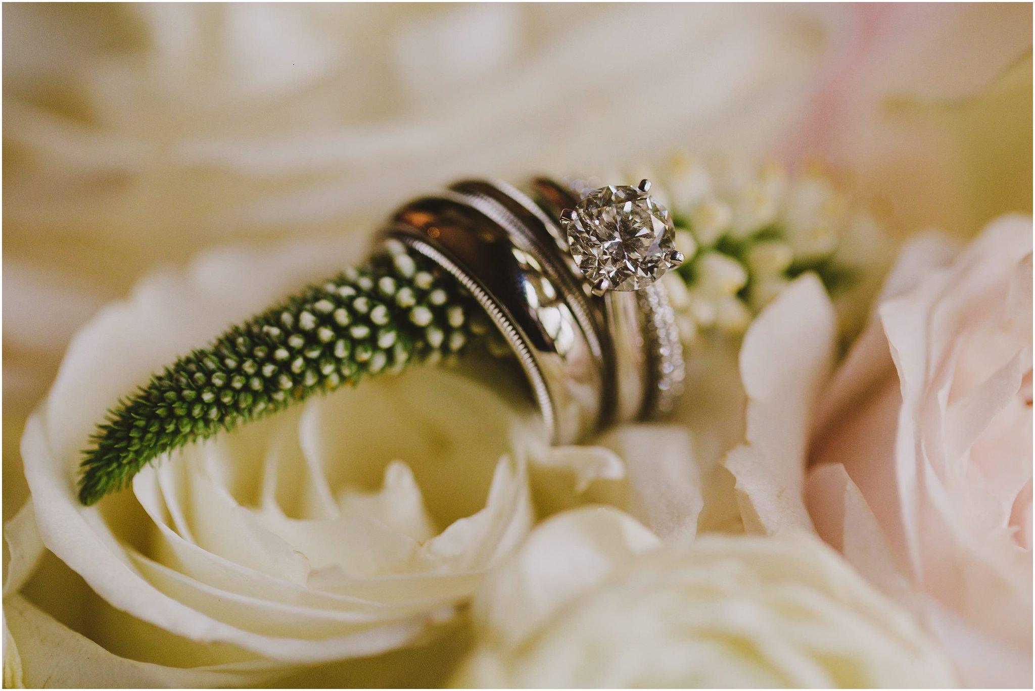 diamond wedding bands interlaced on the white bouquet 
